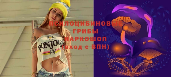 дживик Балахна