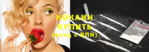 мяу мяу мука Баксан