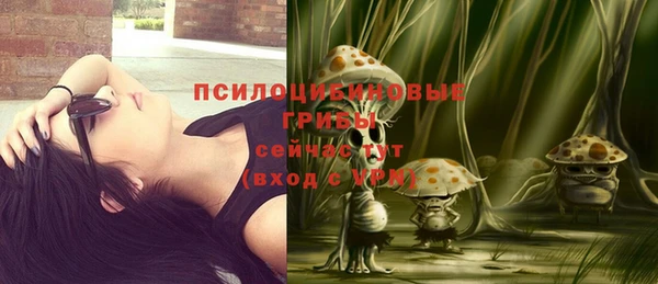дживик Балахна