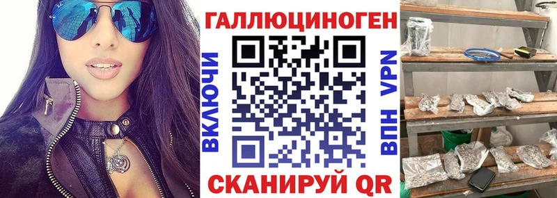 Купить закладки  Володарск  Галлюциногенные грибы MAGIC MUSHROOMS 